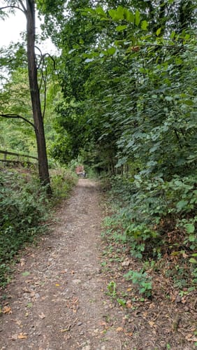 Miltenberg: Mildenburg - Stadtpark