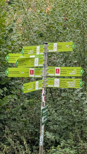 Miltenberg: Mildenburg - Stadtpark