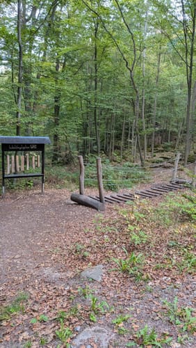 Miltenberg: Mildenburg - Stadtpark