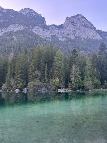 Zauberwald mit Naturlehrpfad