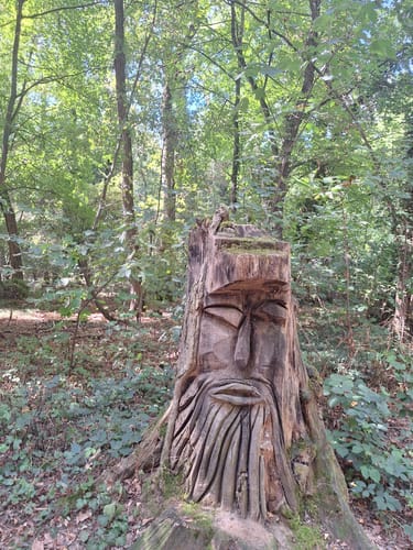 Zum Lennebergwald