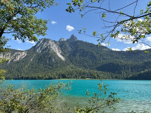 Alpsee Rundweg