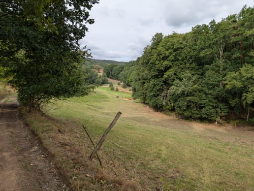 Trippstadt - Burg Wilenstein -Karlstalschlucht