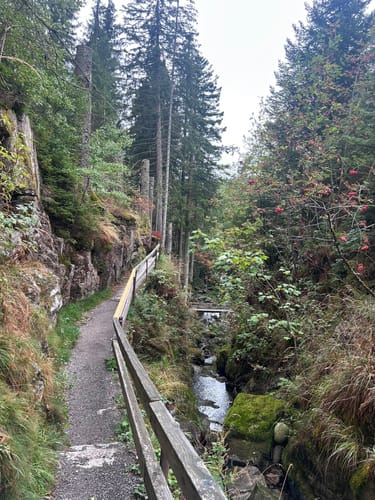 Menzenschwander Wasserfälle - Gschweih
