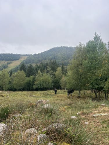 Menzenschwander Wasserfälle - Gschweih
