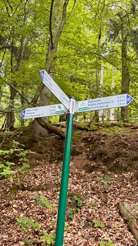 Zur Peterseiche