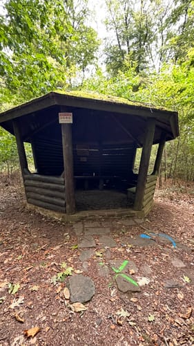 Zur Peterseiche