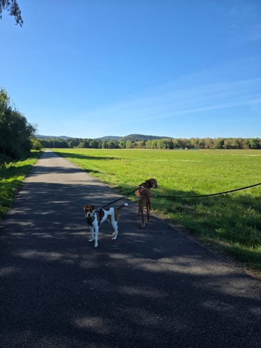 Ramsteinrunde