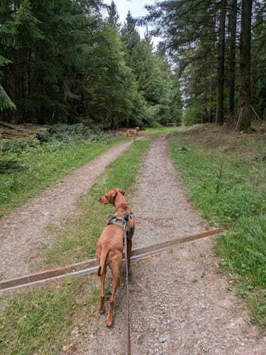 Vogtei-Rundwanderweg