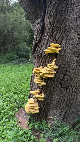 Runde um den Hohenasperg