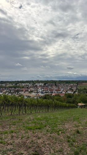 Runde um den Hohenasperg