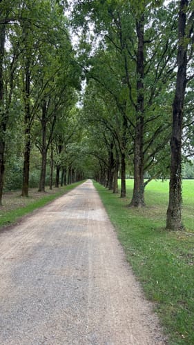 Runde um den Hohenasperg