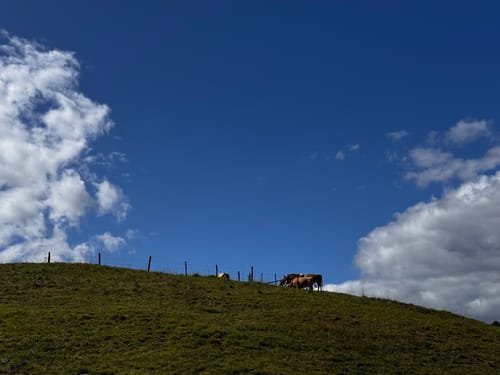 Schönecker Schweiz Rundweg