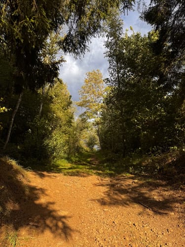 Schönecker Schweiz Rundweg