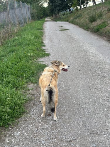 Kleine Runde ab Talheim
