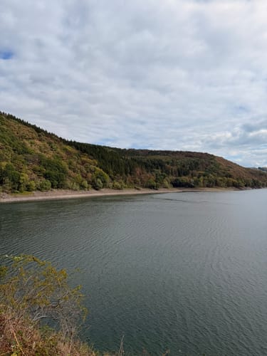 Bird Watching Runde: Von Vogelsang über die Urftseebrücke