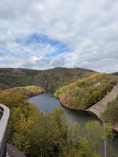 Bird Watching Runde: Von Vogelsang über die Urftseebrücke