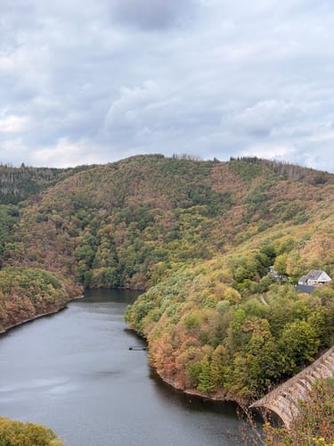 Bird Watching Runde: Von Vogelsang über die Urftseebrücke