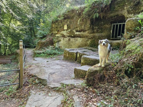Römerpfad (Premiumwanderweg)