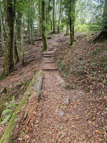 Römerpfad (Premiumwanderweg)