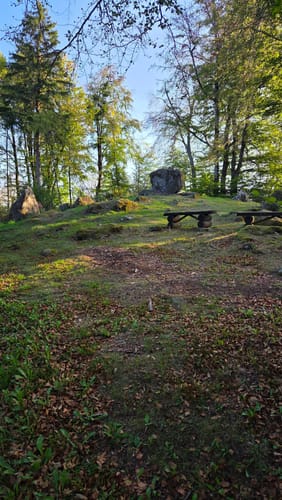 Haubentour (Extratour)