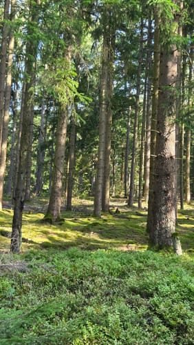 Haubentour (Extratour)