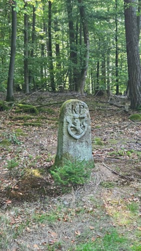 Haubentour (Extratour)