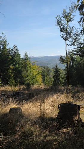 Haubentour (Extratour)