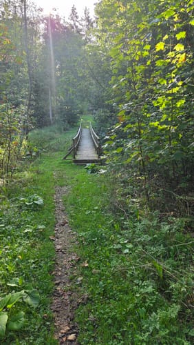 Haubentour (Extratour)