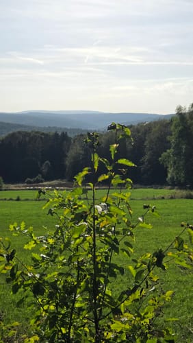 Haubentour (Extratour)
