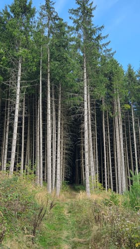 Haubentour (Extratour)