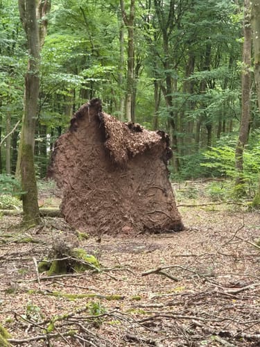 Rund um Hinterhausen