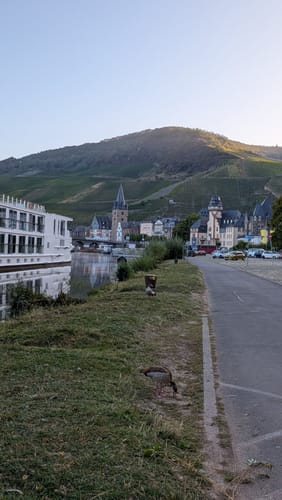 Burg-Olymp-Tour an der Mosel in Bernkastel-Kues