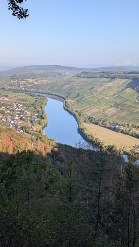 Burg-Olymp-Tour an der Mosel in Bernkastel-Kues