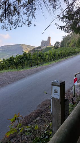 Burg-Olymp-Tour an der Mosel in Bernkastel-Kues