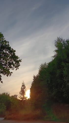 Um den Kiefernberg zur Karl-May-Höhle