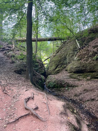 Rundweg 3: Mariental - Drachenschlucht - Elfengrotte