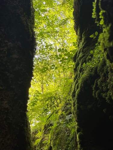 Rundweg 3: Mariental - Drachenschlucht - Elfengrotte