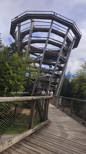 Wildline Hängebrücke