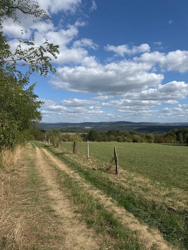 Fischerberg (Traumschleifchen)