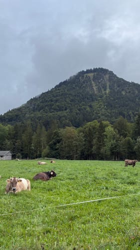 Oberstdorf - Hahnenköpfle - Oytal