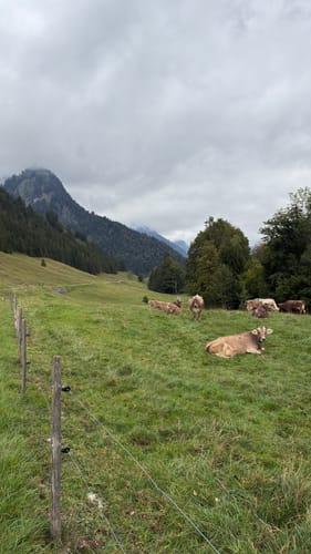 Oberstdorf - Hahnenköpfle - Oytal