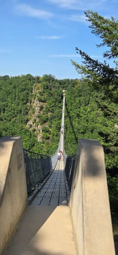 Bäche-Runde und Geierlay Hängebrücke