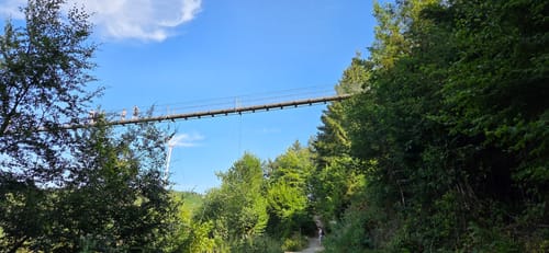 Bäche-Runde und Geierlay Hängebrücke