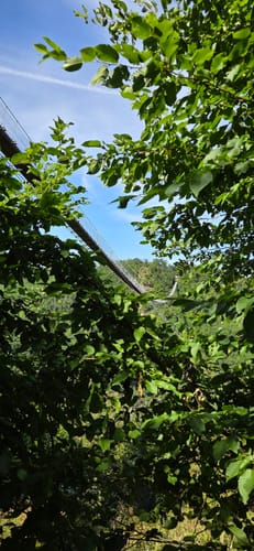 Bäche-Runde und Geierlay Hängebrücke