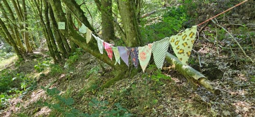 Bäche-Runde und Geierlay Hängebrücke