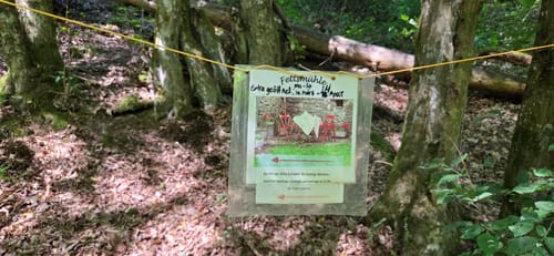 Bäche-Runde und Geierlay Hängebrücke