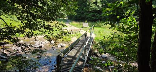 Bäche-Runde und Geierlay Hängebrücke