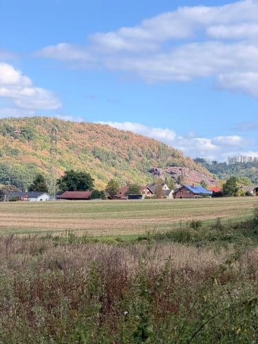 Biber Bäche Eichenwälder - Themen-Tour 1