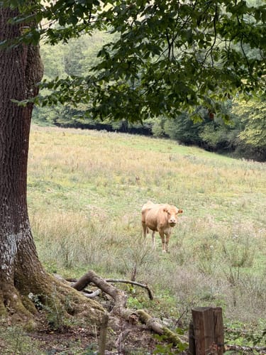 Biber Bäche Eichenwälder - Themen-Tour 1